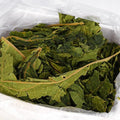 Papaya Leaf Chew Toy for Small Pets – Rabbit, Hamster, Chinchilla, Guinea Pig Treat & Teeth Cleaner