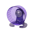 Pico Exercise Wheel With Stand Purple