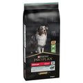 Pro Plan Dog Med Sens Digest Lamb