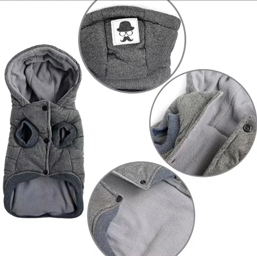 Winter Warmer Dog Jacket