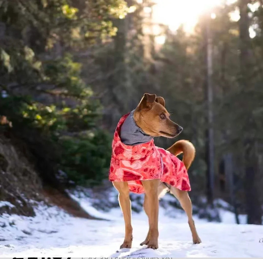 Dog Shack Winter Sherpa Dog Coat.