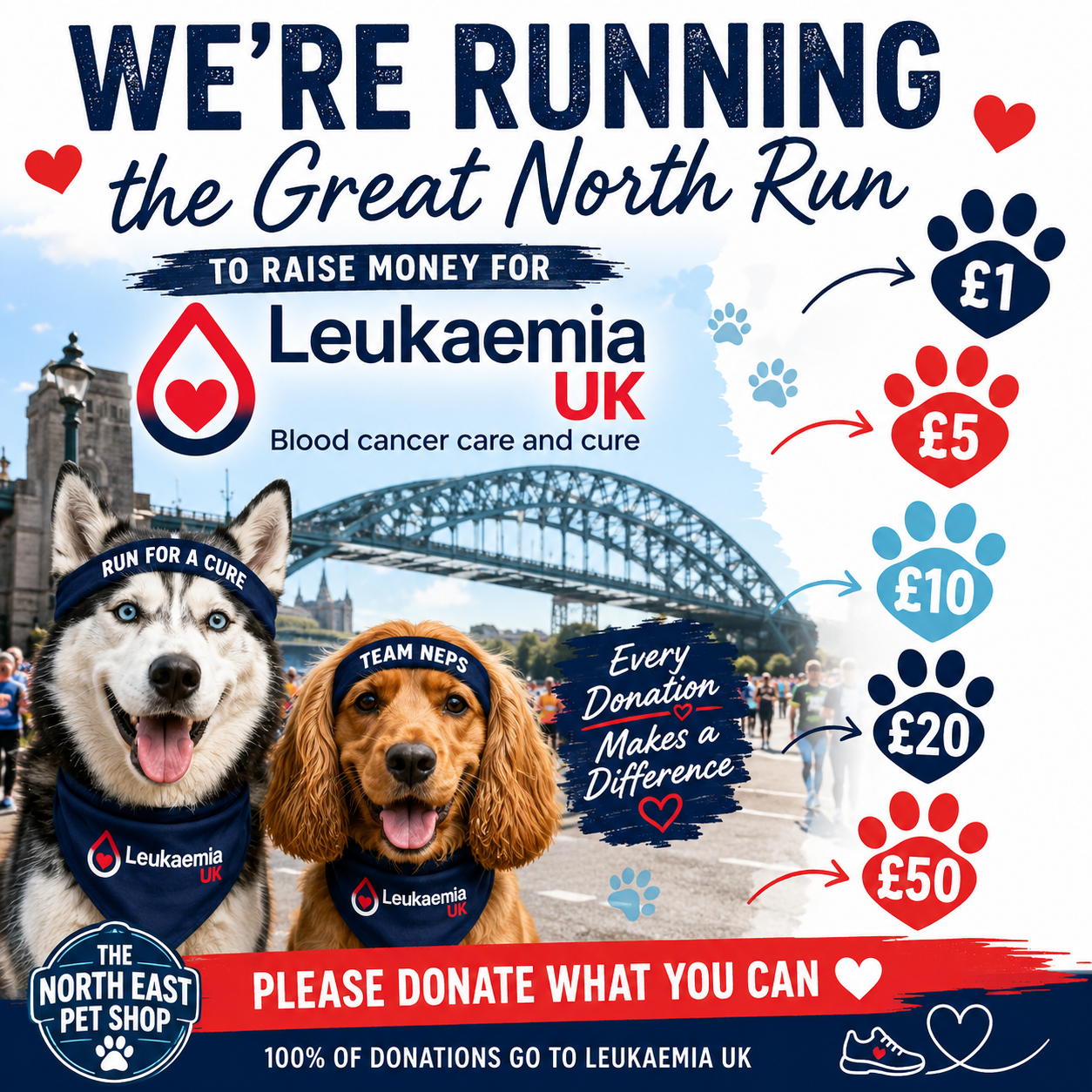 Donation to Leukaemia UK | Great North Run Fundraiser ❤️🏃‍♂️