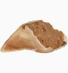 Sheep Fat Filled Hoof
