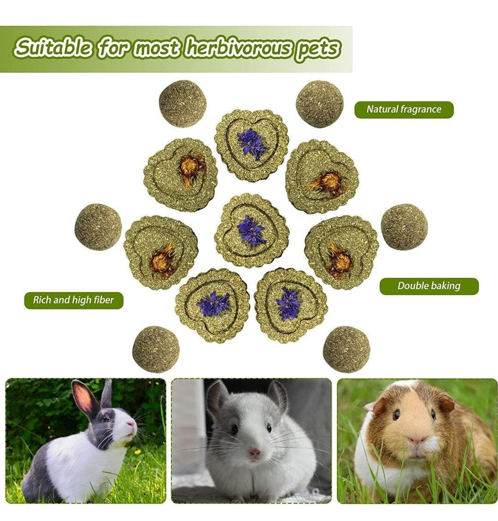 Small Animal Treat Sticks & Chews