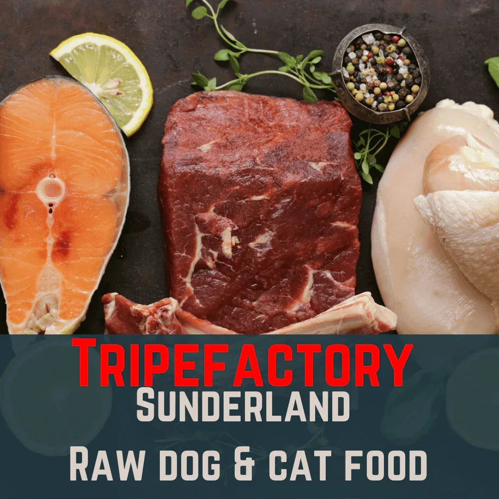 Tripefactory Sunderland - 1lb (Single) - Raw Dog & Cat Food – 250g