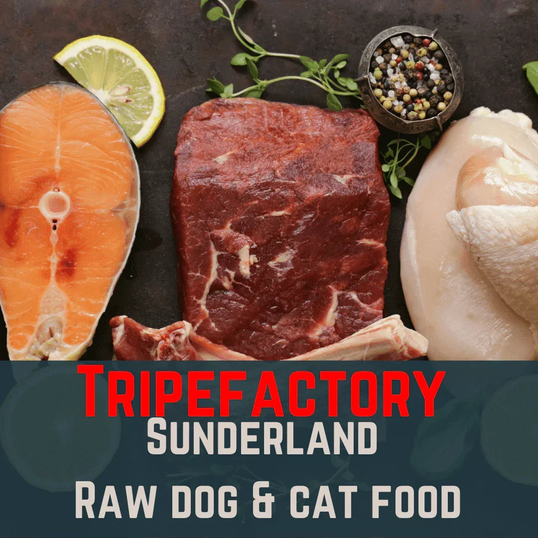 Tripefactory Sunderland - 20lb Full Mixed Box - Raw Dog & Cat Food – 250g