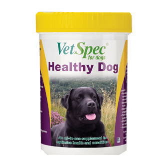 VetSpec Healthy Dog