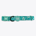 Wyld Cub - Adjustable Dog Collar: Notting Hill Mint