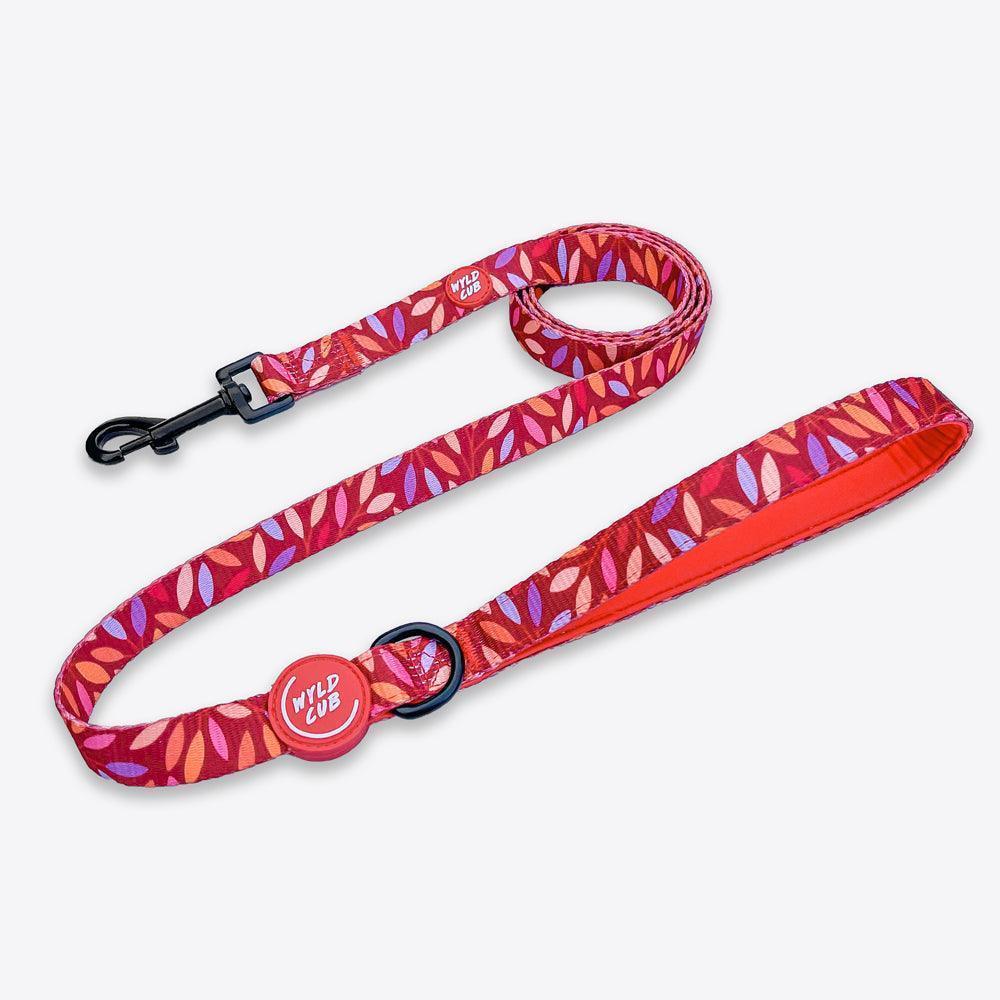 Wyld Cub - Dog Lead: Hampstead Fireside